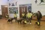 Wheelbarrow racing